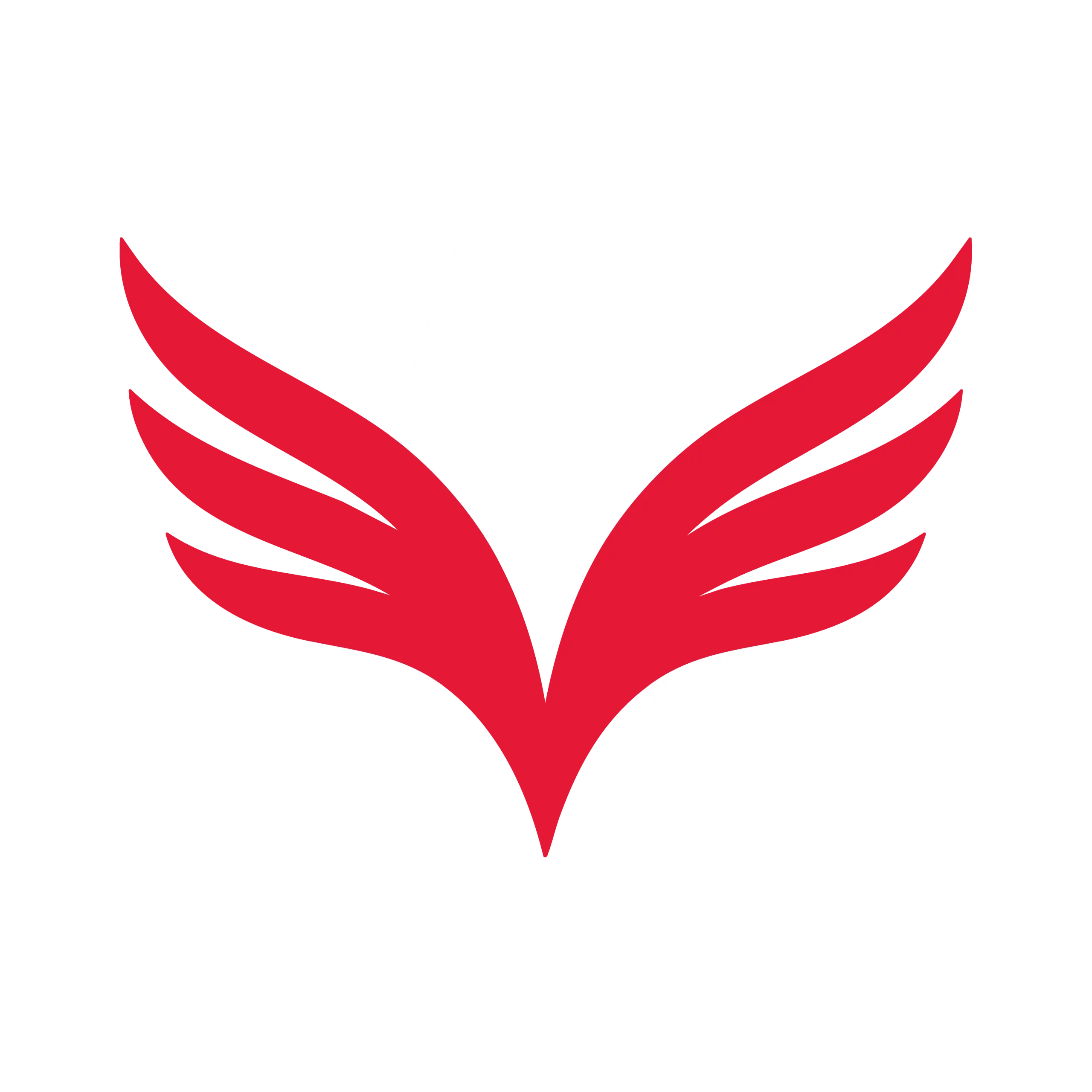 Arman Fine Auto & Repair Centre logo
